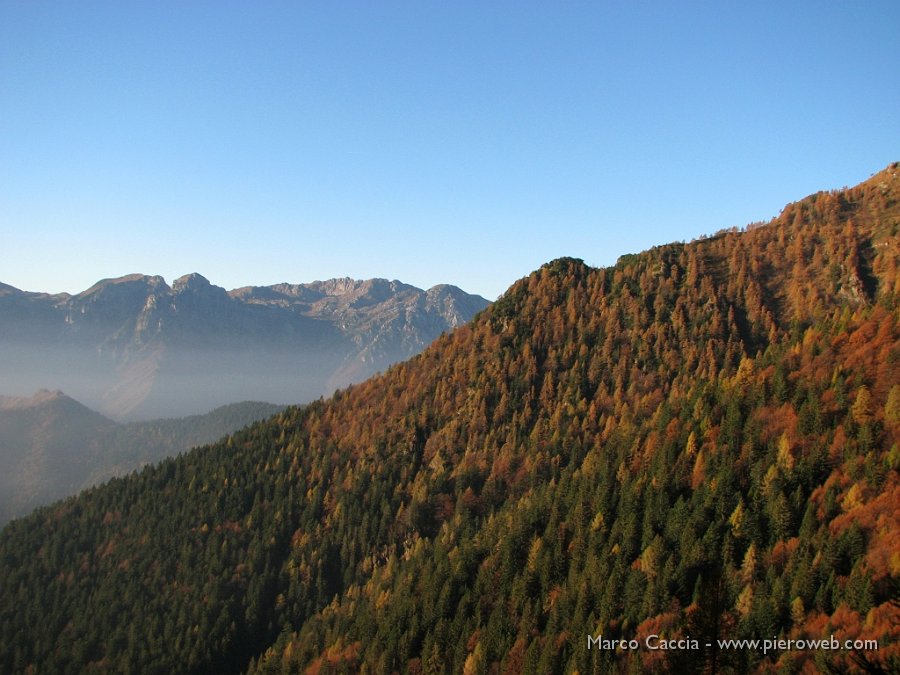 01_Colori d'autunno.jpg